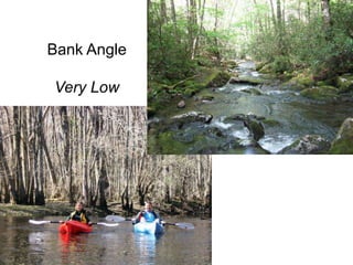 Stream Channel Succession (WARSSS)