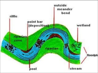 Bank Erosion Hazard Index (BEHI)