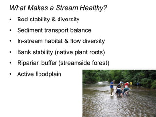 What Makes a Stream Healthy? ,[object Object]