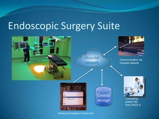  240 medical specialists