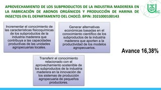 APROVECHAMIENTO DE LOS SUBPRODUCTOS DE LA INDUSTRIA MADERERA EN
LA FABRICACIÓN DE ABONOS ORGÁNICOS Y PRODUCCIÓN DE HARINA DE
INSECTOS EN EL DEPARTAMENTO DEL CHOCÓ. BPIN: 2021000100143
Avance 16,38%
Incrementar el conocimiento de
las características fisicoquímicas
de los subproductos de la
industria maderera que
contribuya a las capacidades
productivas de las unidades
agropecuarias locales.
Generar alternativas
económicas basadas en el
conocimiento científico de los
subproductos de la industria
maderera que aporten a la
productividad de los modelos
agropecuarios.
Transferir el conocimiento
relacionado con el
aprovechamiento sostenible de
los subproductos de la industria
maderera en la innovación de
los sistemas de producción
agropecuaria de pequeños
productores.
 