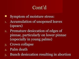 CCoonntt’’dd 
 SSyymmppttoomm ooff mmooiissttuurree ssttrreessss:: 
11.. AAccccuummuullaattiioonn ooff uunnooppeenneedd lleeaavveess 
((ssppeeaarrss)) 
22.. PPrreemmaattuurree ddeessiiccccaattiioonn ooff eeddggeess ooff 
ppiinnnnaaee,, ppaarrttiiccuullaarrllyy oonn lloowweerr ppiinnnnaaee 
((eessppeecciiaallllyy iinn yyoouunngg ppaallmmss)) 
33.. CCrroowwnn ccoollllaappssee 
44.. PPaallmm ddeeaatthh 
55.. BBuunncchh ddeessiiccccaattiioonn rreessuullttiinngg iinn aabboorrttiioonn 
 