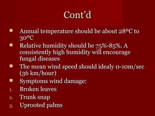 CCoonntt’’dd 
 AAnnnnuuaall tteemmppeerraattuurree sshhoouulldd bbee aabboouutt 2288ºCC ttoo 
3300ºCC 
 RReellaattiivvee hhuummiiddiittyy sshhoouulldd bbee 7755%%--8855%%.. AA 
ccoonnssiisstteennttllyy hhiigghh hhuummiiddiittyy wwiillll eennccoouurraaggee 
ffuunnggaall ddiisseeaasseess 
 TThhee mmeeaann wwiinndd ssppeeeedd sshhoouulldd iiddeeaallyy 00--1100mm//sseecc 
(3366 kkmm//hhoouurr)) 
 SSyymmppttoommss wwiinndd ddaammaaggee:: 
11.. BBrrookkeenn lleeaavveess 
22.. TTrruunnkk ssnnaapp 
33.. UUpprrooootteedd ppaallmmss 
 