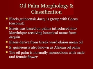 OOiill PPaallmm MMoorrpphhoollooggyy && 
CCllaassssiiffiiccaattiioonn 
 EEllaaeeiiss gguuiinneeeennssiiss JJaaccqq.. iiss ggrroouupp wwiitthh CCooccooss 
(ccooccoonnuutt)) 
 EEllaaeeiiss wwaass bbaasseedd oonn ppaallmmss iinnttrroodduucceedd iinnttoo 
MMaarrttiinniiqquuee rreecceeiivviinngg bboottaanniiccaall nnaammee ffrroomm 
JJaaqquuiinn 
 EEllaaeeiiss ddeerriivvee ffrroomm GGrreeeekk wwoorrdd eellaaiioonn mmeeaann ooiill 
 EE.. gguuiinneeeennssiiss aallssoo kknnoowwnn aass AAffrriiccaann ooiill ppaallmm 
 TThhee ooiill ppaallmm iiss nnoorrmmaallllyy mmoonnooeecciioouuss wwiitthh mmaallee 
aanndd ffeemmaallee fflloowweerr 
 