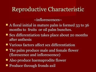RReepprroodduuccttiivvee CChhaarraacctteerriissttiicc 
~~iinnfflloorreesscceenncceess~~ 
 AA fflloorraall iinniittiiaall iinn mmaattuurree ppaallmm iiss ffoorrmmeedd 3333 ttoo 3366 
mmoonntthhss ttoo ffrruuiittss oorr ooiill ppaallmm bbuunncchheess.. 
 SSeexx ddiiffffeerreennttiiaattiioonn ttaakkeess ppllaaccee aabboouutt 2200 mmoonntthhss 
aafftteerr aanntthheessiiss 
 VVaarriioouuss ffaaccttoorrss aaffffeecctt sseexx ddiiffffeerreennttiiaattiioonn 
 TThhee ppaallmm pprroodduuccee mmaallee aanndd ffeemmaallee fflloowweerr 
(fflloorreesscceennccee aanndd iinnfflloorreesscceennccee)) 
 AAllssoo pprroodduuccee hhaaeemmaapprrooddiittee fflloowweerr 
 PPrroodduuccee tthhrroouugghh ffrroonnddss aaxxiill 
 