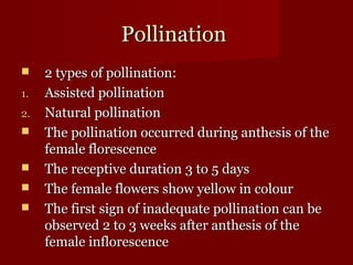 PPoolllliinnaattiioonn 
 22 ttyyppeess ooff ppoolllliinnaattiioonn:: 
11.. AAssssiisstteedd ppoolllliinnaattiioonn 
22.. NNaattuurraall ppoolllliinnaattiioonn 
 TThhee ppoolllliinnaattiioonn ooccccuurrrreedd dduurriinngg aanntthheessiiss ooff tthhee 
ffeemmaallee fflloorreesscceennccee 
 TThhee rreecceeppttiivvee dduurraattiioonn 33 ttoo 55 ddaayyss 
 TThhee ffeemmaallee fflloowweerrss sshhooww yyeellllooww iinn ccoolloouurr 
 TThhee ffiirrsstt ssiiggnn ooff iinnaaddeeqquuaattee ppoolllliinnaattiioonn ccaann bbee 
oobbsseerrvveedd 22 ttoo 33 wweeeekkss aafftteerr aanntthheessiiss ooff tthhee 
ffeemmaallee iinnfflloorreesscceennccee 
 