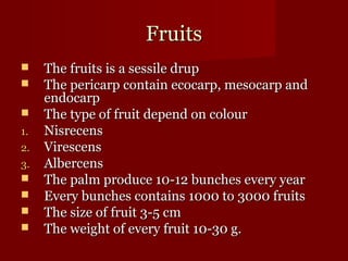 FFrruuiittss 
 TThhee ffrruuiittss iiss aa sseessssiillee ddrruupp 
 TThhee ppeerriiccaarrpp ccoonnttaaiinn eeccooccaarrpp,, mmeessooccaarrpp aanndd 
eennddooccaarrpp 
 TThhee ttyyppee ooff ffrruuiitt ddeeppeenndd oonn ccoolloouurr 
11.. NNiissrreecceennss 
22.. VViirreesscceennss 
33.. AAllbbeerrcceennss 
 TThhee ppaallmm pprroodduuccee 1100--1122 bbuunncchheess eevveerryy yyeeaarr 
 EEvveerryy bbuunncchheess ccoonnttaaiinnss 11000000 ttoo 33000000 ffrruuiittss 
 TThhee ssiizzee ooff ffrruuiitt 33--55 ccmm 
 TThhee wweeiigghhtt ooff eevveerryy ffrruuiitt 1100--3300 gg.. 
 