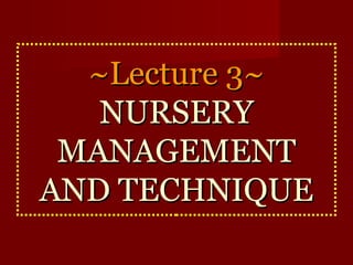 ~~LLeeccttuurree 33~~ 
NNUURRSSEERRYY 
MMAANNAAGGEEMMEENNTT 
AANNDD TTEECCHNNIIQQUUEE 
 