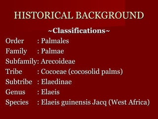 HHIISSTTOORRIICCAALL BBAACCKKGGRROOUUNNDD 
~~CCllaassssiiffiiccaattiioonnss~~ 
OOrrddeerr :: PPaallmmaalleess 
FFaammiillyy :: PPaallmmaaee 
SSuubbffaammiillyy:: AArreeccooiiddeeaaee 
TTrriibbee :: CCooccooeeaaee ((ccooccoossoolliidd ppaallmmss)) 
SSuubbttrriibbee :: EEllaaeeddiinnaaee 
GGeennuuss :: EEllaaeeiiss 
SSppeecciieess :: EEllaaeeiiss gguuiinneennssiiss JJaaccqq ((WWeesstt AAffrriiccaa)) 
 