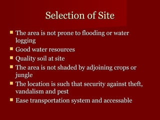 SSeelleeccttiioonn ooff SSiittee 
 TThhee aarreeaa iiss nnoott pprroonnee ttoo ffllooooddiinngg oorr wwaatteerr 
llooggggiinngg 
 GGoooodd wwaatteerr rreessoouurrcceess 
 QQuuaalliittyy ssooiill aatt ssiittee 
 TThhee aarreeaa iiss nnoott sshhaaddeedd bbyy aaddjjooiinniinngg ccrrooppss oorr 
jjuunnggllee 
 TThhee llooccaattiioonn iiss ssuucchh tthhaatt sseeccuurriittyy aaggaaiinnsstt tthheefftt,, 
vvaannddaalliissmm aanndd ppeesstt 
 EEaassee ttrraannssppoorrttaattiioonn ssyysstteemm aanndd aacccceessssaabbllee 
 