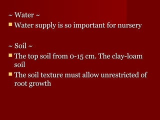 ~~ WWaatteerr ~~ 
WWaatteerr ssuuppppllyy iiss ssoo iimmppoorrttaanntt ffoorr nnuurrsseerryy 
~~ SSooiill ~~ 
 TThhee ttoopp ssooiill ffrroomm 00--1155 ccmm.. TThhee ccllaayy--llooaamm 
ssooiill 
 TThhee ssooiill tteexxttuurree mmuusstt aallllooww uunnrreessttrriicctteedd ooff 
rroooott ggrroowwtthh 
 