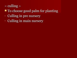 ~~ ccuulllliinngg ~~ 
 TToo cchhoooossee ggoooodd ppaallmm ffoorr ppllaannttiinngg 
- CCuulllliinngg iinn pprree nnuurrsseerryy 
- CCuulllliinngg iinn mmaaiinn nnuurrsseerryy 
 