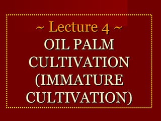 ~~ LLeeccttuurree 44 ~~ 
OOIILL PPAALLMM 
CCUULLTTIIVVAATTIIOONN 
((IIMMMMAATTUURREE 
CCUULLTTIIVVAATTIIOONN)) 
 