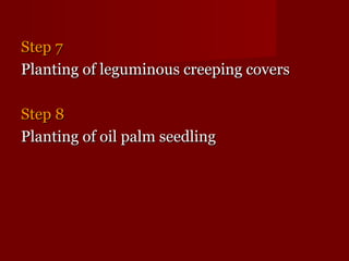 SStteepp 77 
PPllaannttiinngg ooff lleegguummiinnoouuss ccrreeeeppiinngg ccoovveerrss 
SStteepp 88 
PPllaannttiinngg ooff ooiill ppaallmm sseeeeddlliinngg 
 