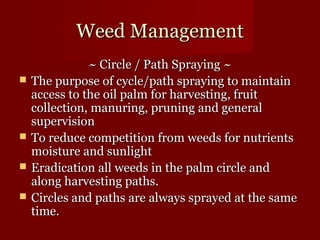 WWeeeedd MMaannaaggeemmeenntt 
~~ CCiirrccllee // PPaatthh SSpprraayyiinngg ~~ 
 TThhee ppuurrppoossee ooff ccyyccllee//ppaatthh sspprraayyiinngg ttoo mmaaiinnttaaiinn 
aacccceessss ttoo tthhee ooiill ppaallmm ffoorr hhaarrvveessttiinngg,, ffrruuiitt 
ccoolllleeccttiioonn,, mmaannuurriinngg,, pprruunniinngg aanndd ggeenneerraall 
ssuuppeerrvviissiioonn 
 TToo rreedduuccee ccoommppeettiittiioonn ffrroomm wweeeeddss ffoorr nnuuttrriieennttss 
mmooiissttuurree aanndd ssuunnlliigghhtt 
 EErraaddiiccaattiioonn aallll wweeeeddss iinn tthhee ppaallmm cciirrccllee aanndd 
aalloonngg hhaarrvveessttiinngg ppaatthhss.. 
 CCiirrcclleess aanndd ppaatthhss aarree aallwwaayyss sspprraayyeedd aatt tthhee ssaammee 
ttiimmee.. 
 