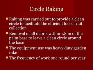 CCiirrccllee RRaakkiinngg 
 RRaakkiinngg wwaass ccaarrrriieedd oouutt ttoo pprroovviiddee aa cclleeaann 
cciirrccllee ttoo ffaacciilliittaattee tthhee eeffffiicciieenntt lloooossee ffrruuiitt 
ccoolllleeccttiioonn 
 RReemmoovvaall ooff aallll ddeebbrriiss wwiitthhiinn 11..88 mm ooff tthhee 
ppaallmm bbaassee ttoo lleeaavvee aa cclleeaann cciirrccllee aarroouunndd 
tthhee bbaassee 
 TThhee eeqquuiippmmeenntt uussee wwaass hheeaavvyy dduuttyy ggaarrddeenn 
rraakkee 
 TThhee ffrreeqquueennccyy ooff wwoorrkk oonnee rroouunndd ppeerr yyeeaarr 
 