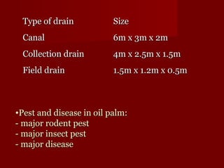 TTyyppee ooff ddrraaiinn SSiizzee 
CCaannaall 66mm xx 33mm xx 22mm 
CCoolllleeccttiioonn ddrraaiinn 44mm xx 22..55mm xx 11..55mm 
FFiieelldd ddrraaiinn 11..55mm xx 11..22mm xx 00..55mm 
•PPeesstt aanndd ddiisseeaassee iinn ooiill ppaallmm:: 
-- mmaajjoorr rrooddeenntt ppeesstt 
-- mmaajjoorr iinnsseecctt ppeesstt 
-- mmaajjoorr ddiisseeaassee 
 