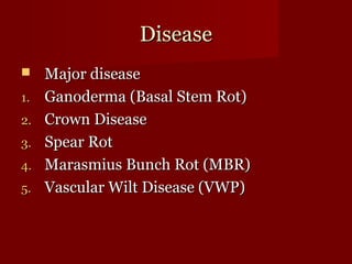 DDiisseeaassee 
 MMaajjoorr ddiisseeaassee 
11.. GGaannooddeerrmmaa ((BBaassaall SStteemm RRoott)) 
22.. CCrroowwnn DDiisseeaassee 
33.. SSppeeaarr RRoott 
44.. MMaarraassmmiiuuss BBuunncchh RRoott ((MMBBRR)) 
55.. VVaassccuullaarr WWiilltt DDiisseeaassee ((VVWWPP)) 
 
