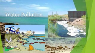 Water Pollution
 