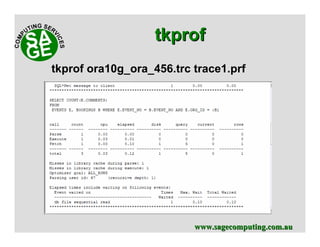 www.sagecomputing.com.auwww.sagecomputing.com.au
tkproftkprof
tkprof ora10g_ora_456.trc trace1.prf
 