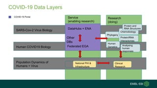 COVID-19 Data Layers
SARS-Cov-2 Virus Biology
Human COVID19 Biology
Population Dynamics of
Humans + Virus
Service
(enabling research)
Research
(doing)
Other
DBs
DataHubs + ENA
Federated EGA
COVID-19 Portal
Phylogeny
Chemobiology
Protein/RNA
Interactomes
Human
Genetics
Analysing
human
responses
Protein and
RNA Structures
National PHI &
Infrastructure
Clinical
Research
 