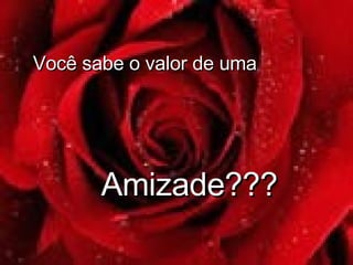 Amizade??? Você sabe o valor de uma 