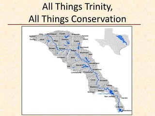 All Things Trinity,
All Things Conservation
 