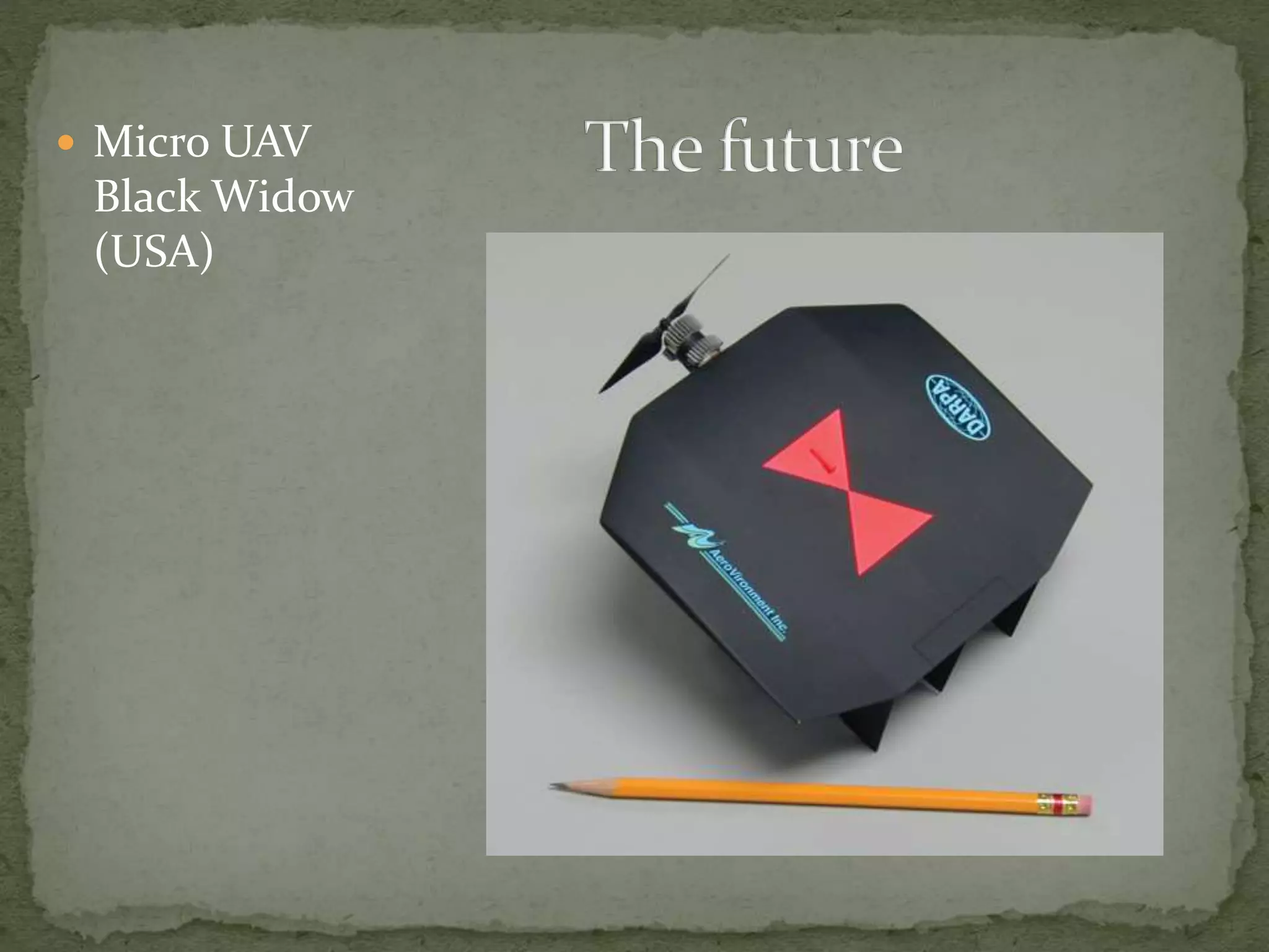  Micro UAV 
Black Widow 
(USA) 
 
