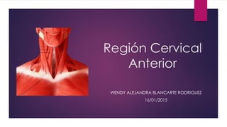 Región Cervical
Anterior
WENDY ALEJANDRA BLANCARTE RODRIGUEZ
16/01/2015
 