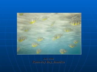 July, 2000 Runaway Bay, Jamaica 