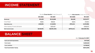 INCOME STATEMENT
16
For the Three Months Ended January 31 For the Nine Months Ended January 31
3M 2020 3M 2021 9M 2020 9M 2021
Revenues $34,538 $2,145,988 $34,538 $3,122,077
Gross Margin 18,304 569,723 18,304 770,924
Operating Loss (438,629) (1,146,853) (976,242) (2,019,988)
Other Expense, Primarily Derivative - 7,837,407 - 8,069,797
Net Income (Loss) $(438,619) $(8,984,260) $(976,242) $(10,089,785)
As of January 31, 2021
Cash and Cash Equivalents $471,652
Total Assets 12,082,563
Total Liabilities 12,728,932
Total Stockholders’ Equity $(646,369)
BALANCE SHEET
 