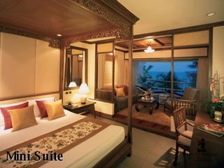 Mini Suite 