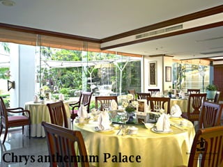 Chrysanthemum Palace 