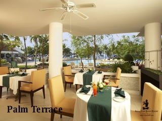 Palm   Terrace 