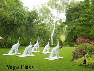 Yoga Class 