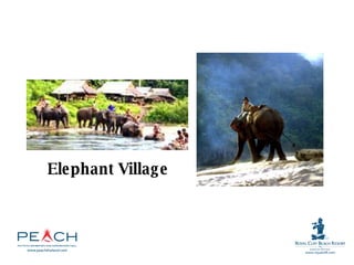 Elephant Village 
