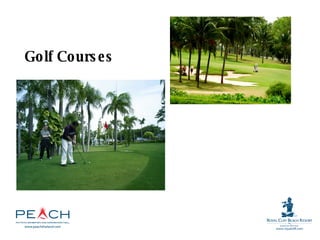 Golf Courses 