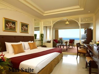 Mini Suite 