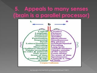 5. Appeals to many senses (brain is a parallel processor) 
Karen Gazith Ph.D. 
http://www.optimumlearningandhealth.com/Transaction/frmCMS.aspx?T=3&ST=1  