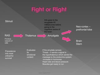 Karen Gazith Ph.D. 
Stimuli 
Thalamus 
Amydgala 
Neo-cortex – prefrontal lobe 
Evaluates its emotional content 
If the amydala senses 
Threat – it sends a signal to 
the hypothalamus which sends the 
message to the endocrine system 
-increase in hormones 
Heart rate and blood pressure 
Muscles get ready to run 
Info goes to the amygdala 40 milliseconds before going to the cognitive centre of the brain 
RAS 
Primitive network of cells 
Precedence Info most critical for survival 
Brain Stem  