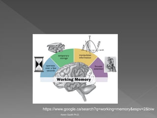 Karen Gazith Ph.D. 
https://www.google.ca/search?q=working+memory&espv=2&biw  