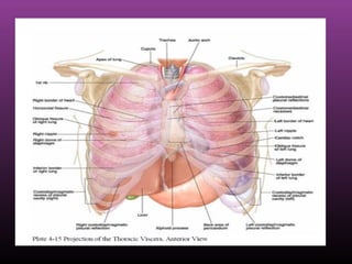 Surgical HintsSurgical Hints
 