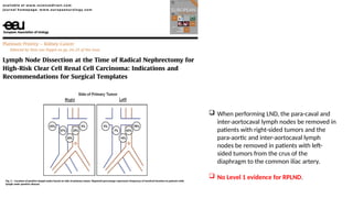 Left Template Rplnd Renal cell carcinoma management- a comprehensive care for renal cancer ...