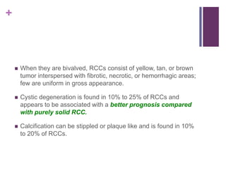 +
 When they are bivalved, RCCs consist of yellow, tan, or brown
tumor interspersed with fibrotic, necrotic, or hemorrhagic areas;
few are uniform in gross appearance.
 Cystic degeneration is found in 10% to 25% of RCCs and
appears to be associated with a better prognosis compared
with purely solid RCC.
 Calcification can be stippled or plaque like and is found in 10%
to 20% of RCCs.
 