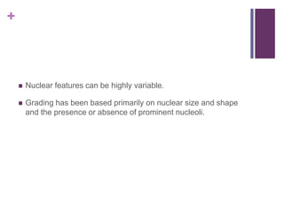 +
 Nuclear features can be highly variable.
 Grading has been based primarily on nuclear size and shape
and the presence or absence of prominent nucleoli.
 