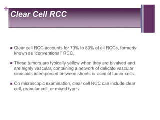 +
Clear Cell RCC
 Clear cell RCC accounts for 70% to 80% of all RCCs, formerly
known as “conventional” RCC.
 These tumors are typically yellow when they are bivalved and
are highly vascular, containing a network of delicate vascular
sinusoids interspersed between sheets or acini of tumor cells.
 On microscopic examination, clear cell RCC can include clear
cell, granular cell, or mixed types.
 