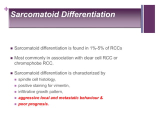 +
Sarcomatoid Differentiation
 Sarcomatoid differentiation is found in 1%-5% of RCCs
 Most commonly in association with clear cell RCC or
chromophobe RCC.
 Sarcomatoid differentiation is characterized by
 spindle cell histology,
 positive staining for vimentin,
 infiltrative growth pattern,
 aggressive local and metastatic behaviour &
 poor prognosis.
 
