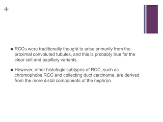 +
 RCCs were traditionally thought to arise primarily from the
proximal convoluted tubules, and this is probably true for the
clear cell and papillary variants.
 However, other histologic subtypes of RCC, such as
chromophobe RCC and collecting duct carcinoma, are derived
from the more distal components of the nephron
 