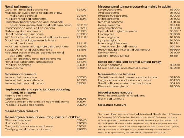 Who Rcc Grading Adult epithelial renal tumors and update of WHO classification of renal ...