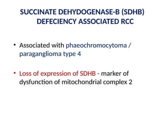 Adult epithelial renal tumors and update of WHO classification of renal ...